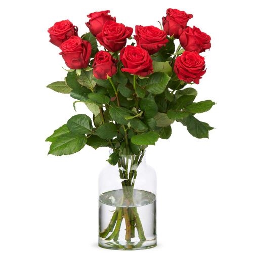 Long red roses | choose quantity