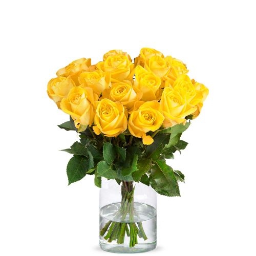 Yellow roses (Small)