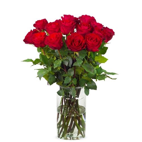 20 red roses | Grower
