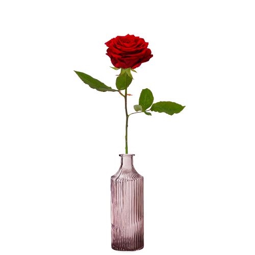1 premium red rose + vase