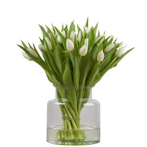 Bunch of white tulips (Small)