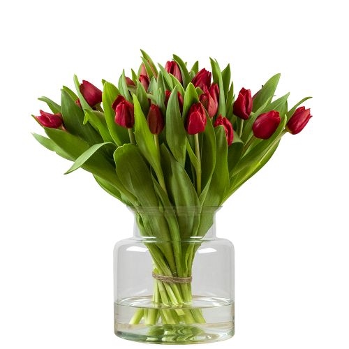 Bunch of red tulips (Small)