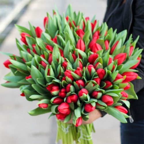 Large bunch of red tulips XL (Small)