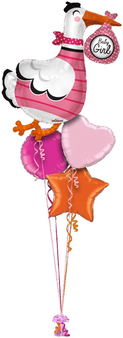 Baby Girl Stork Shape