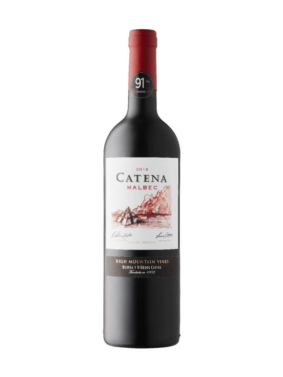 Catena Cabernet Sauvignon