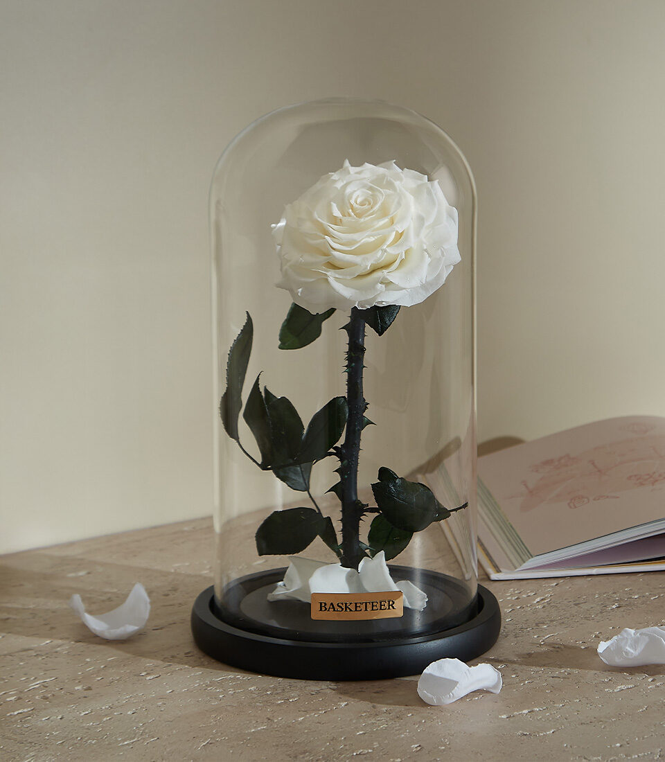 Eternal White Rose in Glass Dome (S ( Size 23 cm ))
