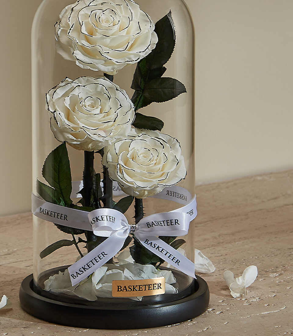 Everlasting White Roses Gift in Dome