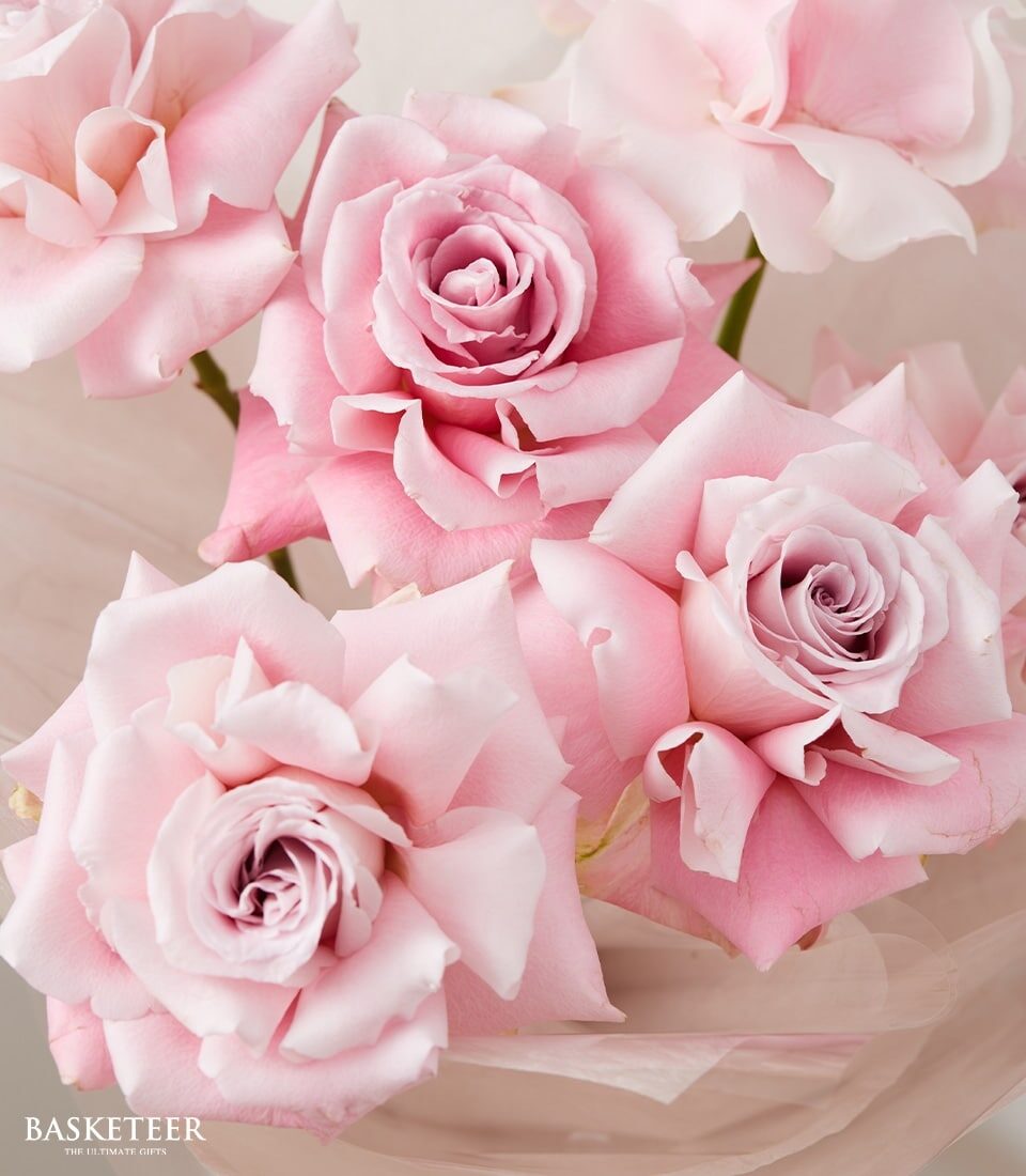 Blush Elegance Pink Rose Bouquet