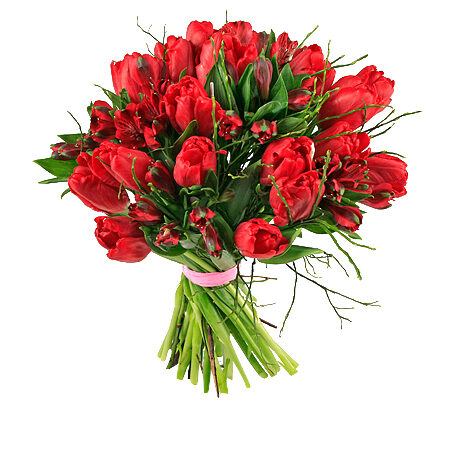 Love Tulips
