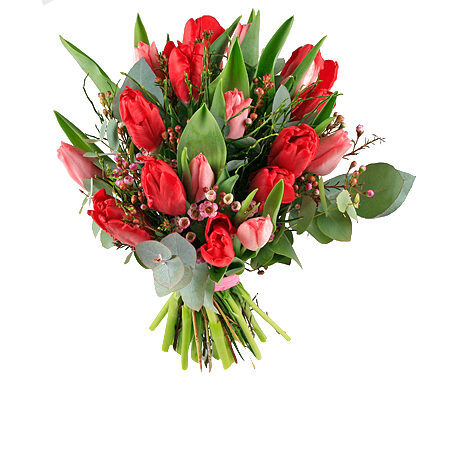 Love Tulips