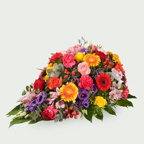Elegant colorful (Small)