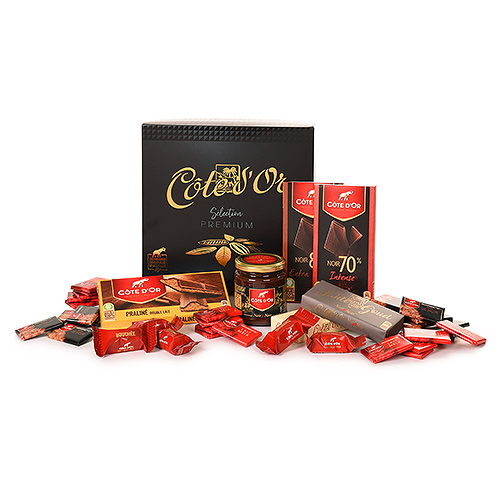 Cote d'Or Premium Selection Gift box
