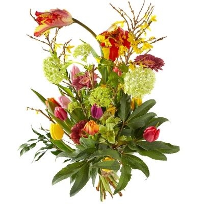 Bouquet Spring Fire (xl)
