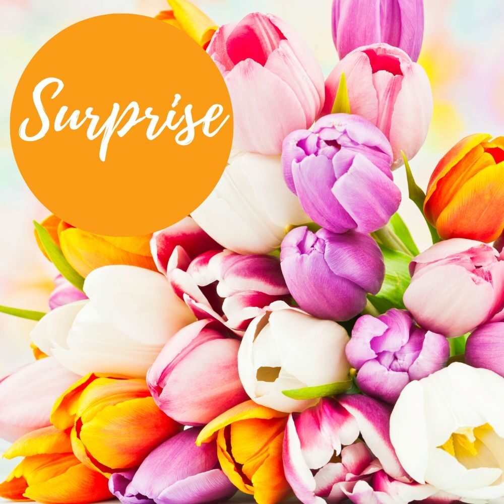Bouquet Tulip Surprise (20 Tulips + Greens)
