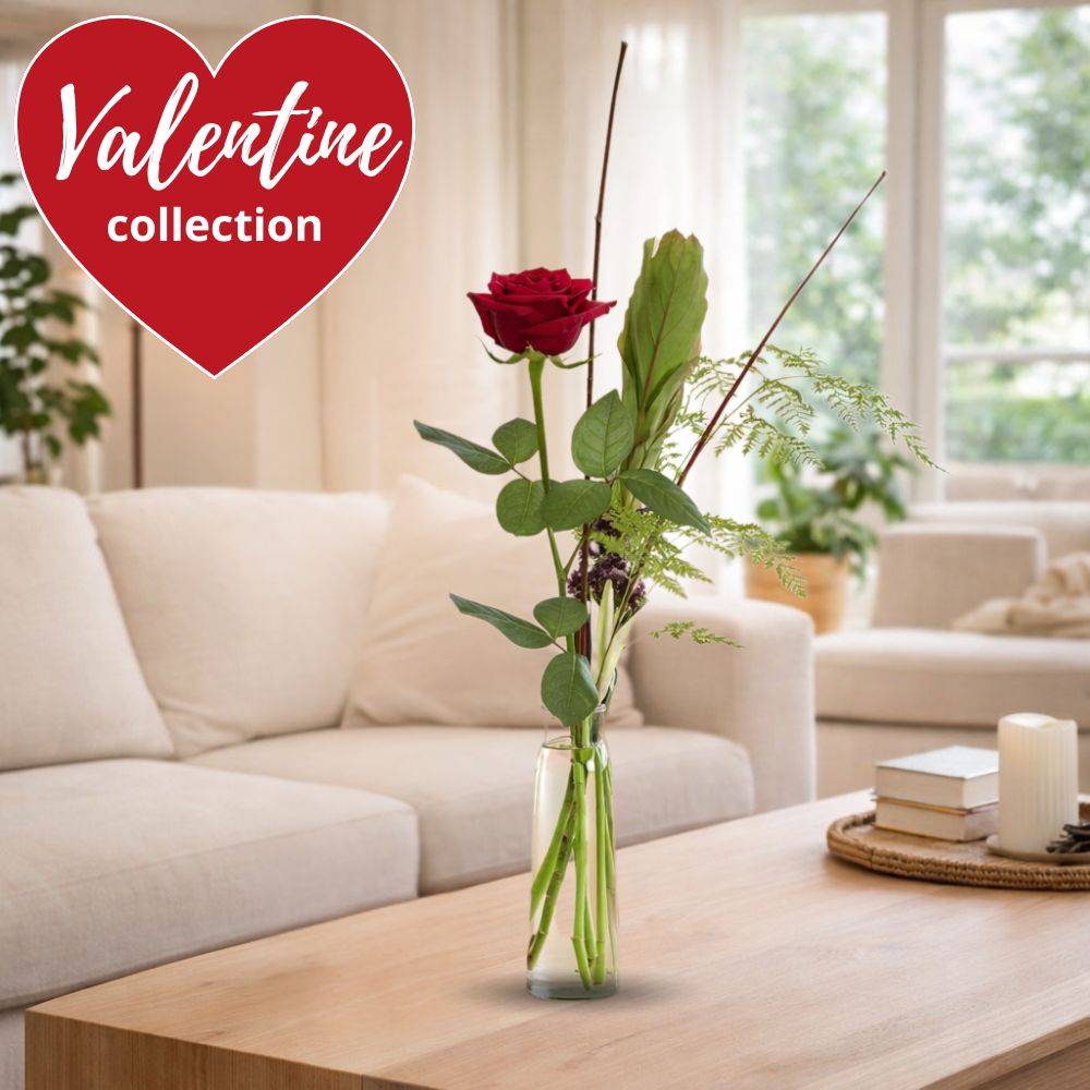 Valentine's Day Gift - Single Red Rose (with Vase)