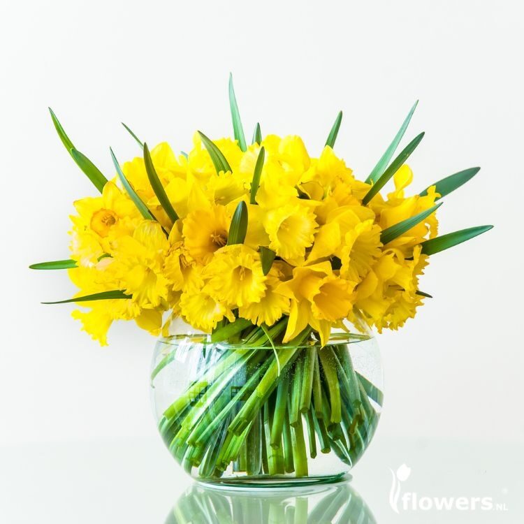Daffodil Bouquet | Spring Vibes (Small)