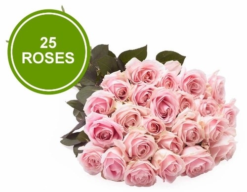 Bouquet 25 Large "Pink Roses"