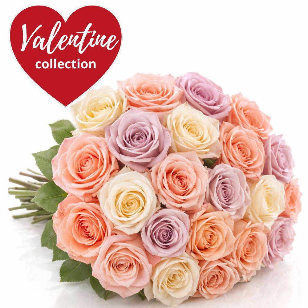 Valentine’s Day Mixed Pastel Roses