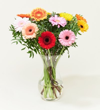 Bouquet Flowers Spring Rainbow