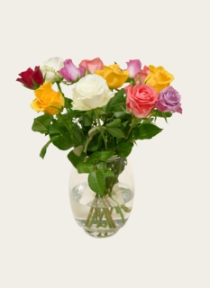 Letterbox flowers Taylor Roses