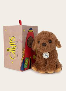 Labradoodle Cuddle Stacy