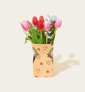 Flowers Letterbox bouquet Vase bag Tulips