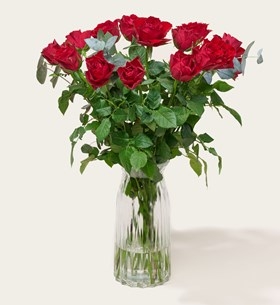 Bouquet of Flowers 15 Red Roses Classic
