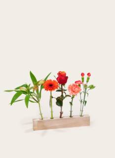 Letterbox package Orangery Vases