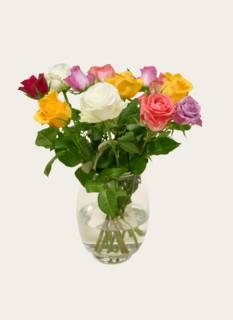 Letterbox flowers Taylor Roses