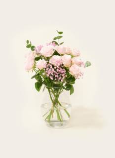 Letterbox flowers Ombre Rosa