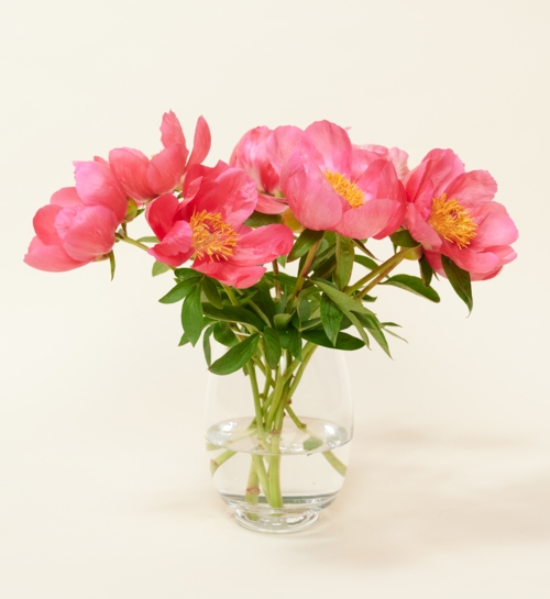 Letterbox Flowers Peonies Pink
