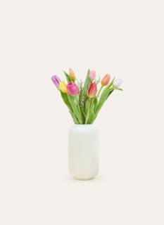 Letterbox Bouquet Multicolor Tulips