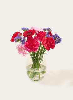 Letterbox Flowers Pink Purple Mix