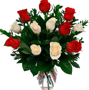 Red and White Roses