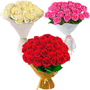 Week of roses
