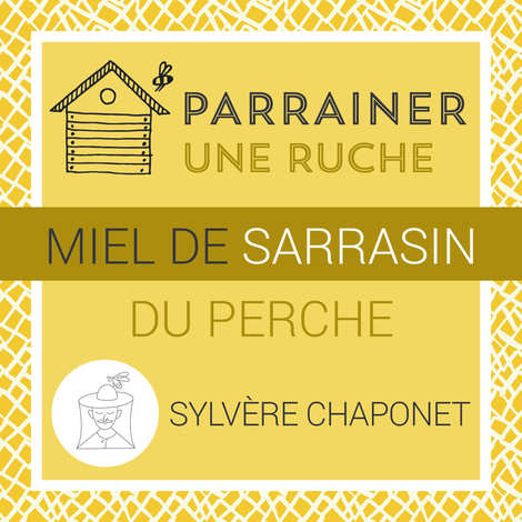 Sponsor a hive from Perche: Buckwheat Honey - Harvest 2025