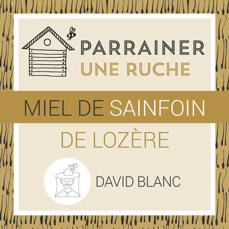 Sponsor a beehive in LozÃ¨re : Sainfoin honey - Harvest 2025