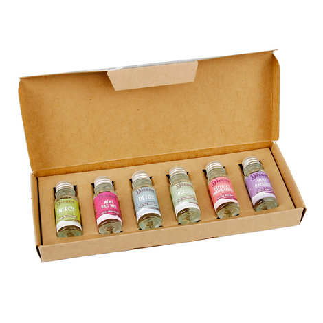 Dizane discovery box - 6 miniatures of organic plant concentrates to dilute