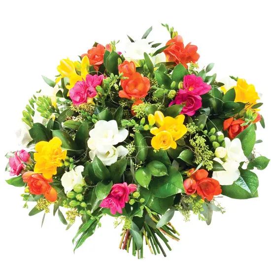 A bouquet of colourful freesias (Small)