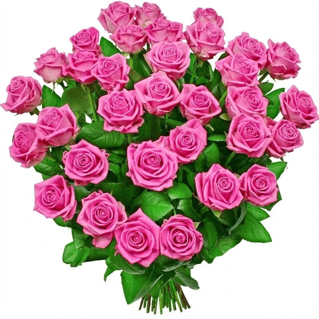 Rose poem flowers (Small)