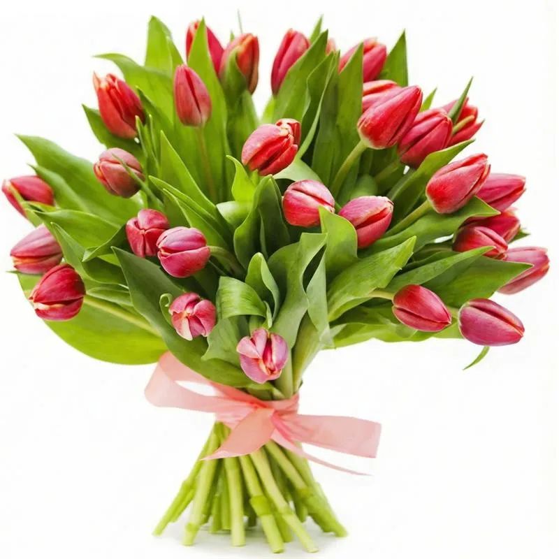 Charming tulips (Small)