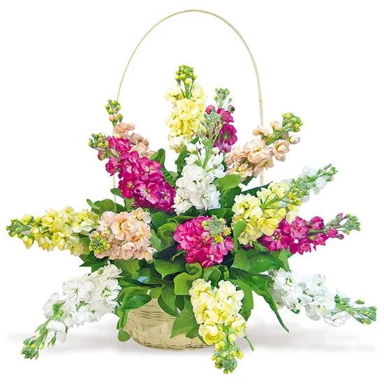Composition with gillyflowers (Small)