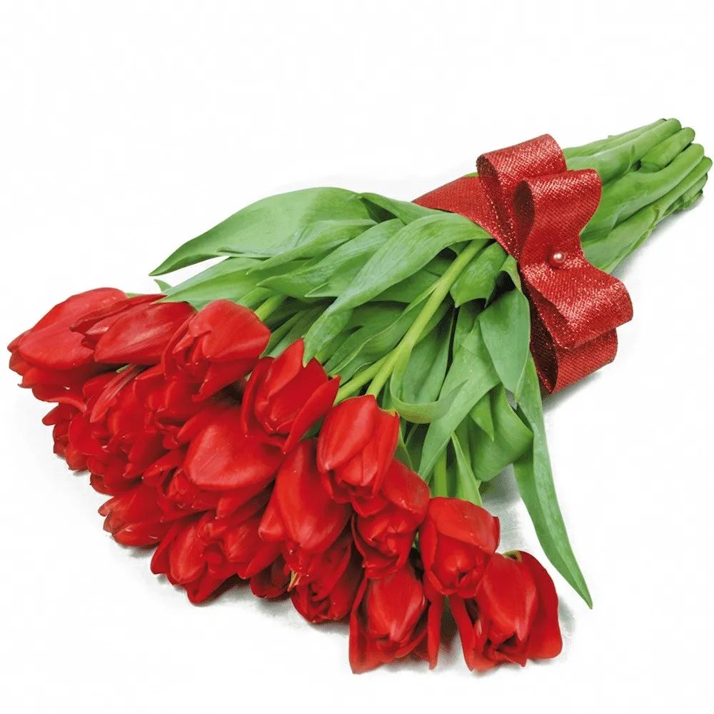 Cupid flowers