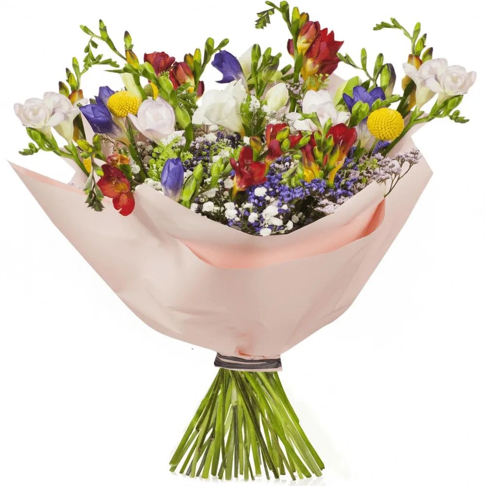 Bouquet of Freesia (Small)