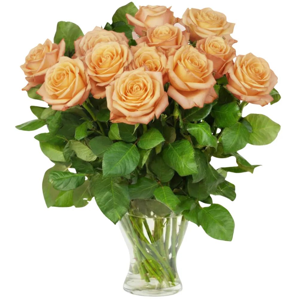 12 tea roses