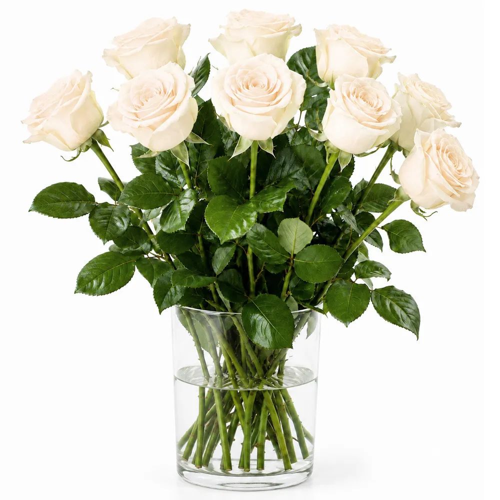 9 white roses
