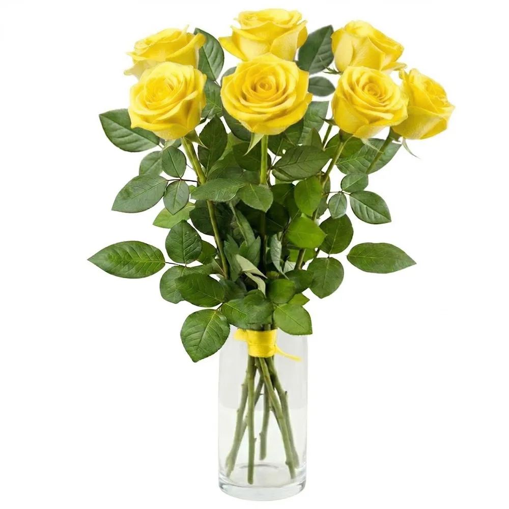 7 yellow roses