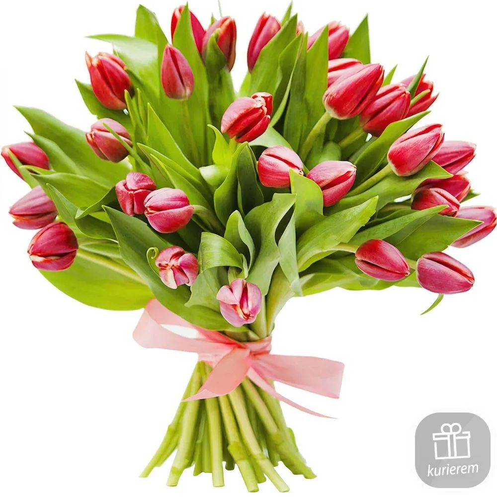 21 red tulips
