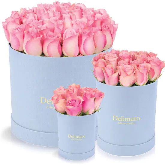 Pink roses in a blue box (Small)