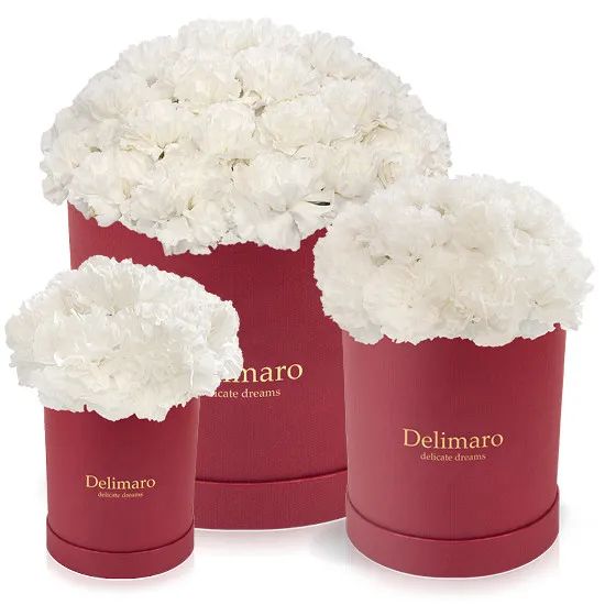White carnations in a red box (Small)